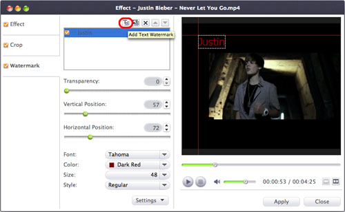 How to watermark DVD video