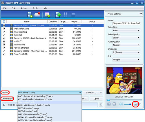 Xilisoft RM Converter