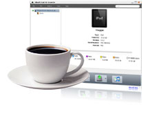 iPad PDF  File Transfer